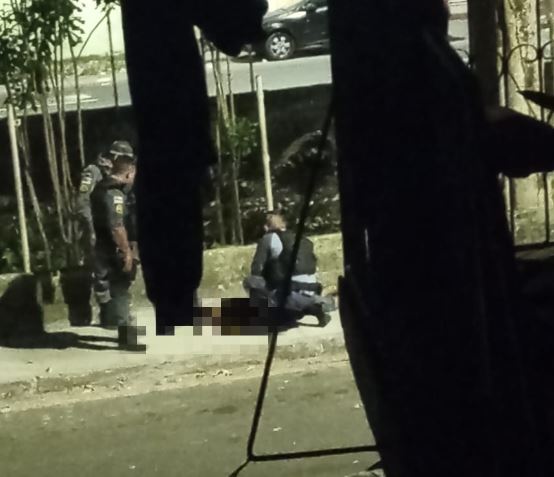 Foto: Divulga&ccedil;&atilde;o