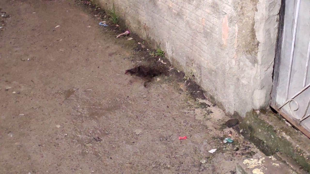 Tufos de cabelo foram encontrados na &aacute;rea (Foto: Divulga&ccedil;&atilde;o)