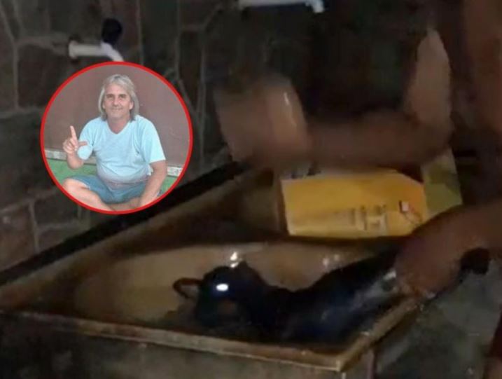 Foto: Divulga&ccedil;&atilde;o