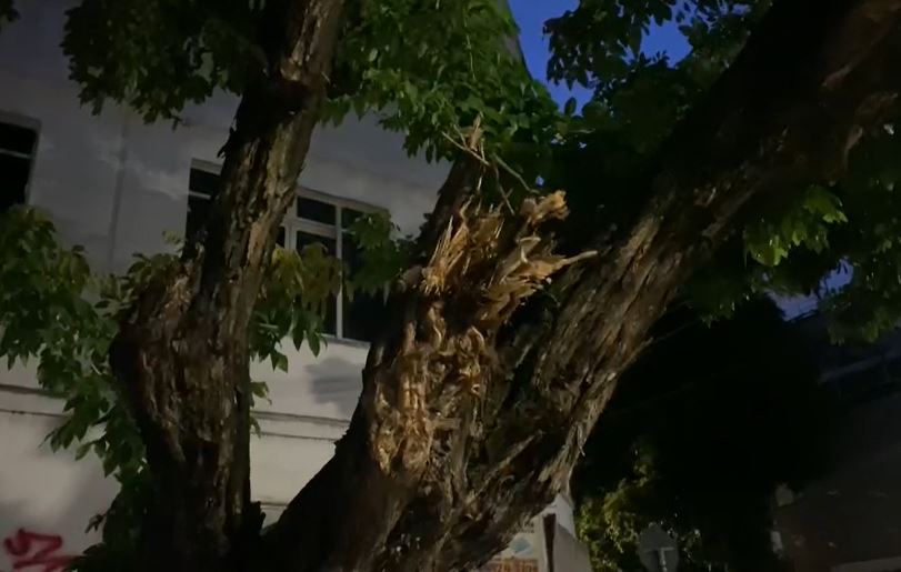 Foto: Divulga&ccedil;&atilde;o