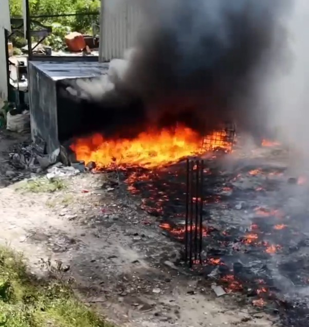 Fogo atingiu parte de &aacute;rea de mata - Foto: Portal do Holanda