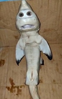 Foto: Reprodu&ccedil;&atilde;o