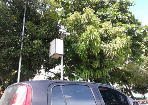 Corujinha em Manaus com raio-x