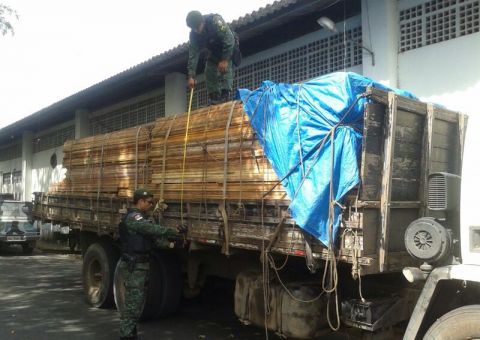 Batalhão Ambiental apreende madeira ilegal na Avenida Brasil