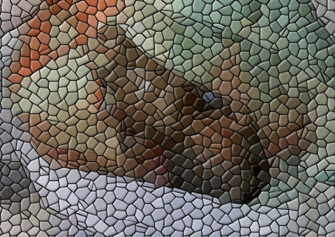 Mulher é presa ao abortar e esconder cadáver 