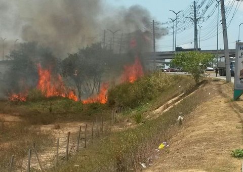 Incêndio ao lado do Viaduto Gilberto Mestrinho: suspeita de ato criminoso