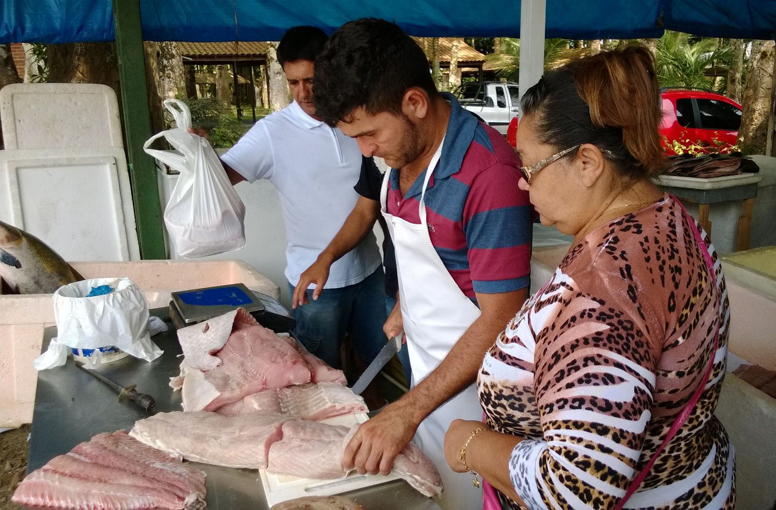 Pirarucu a preço popular no Feirão da Sepror