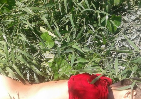 Homem leva três tiros  e morre ao ser jogado de carro