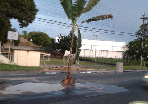 Agricultor promete plantar bananeiras em cada cratera do Distrito Industrial de Manaus