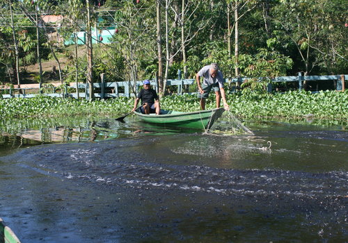 Governo instala Comitê da Bacia do Puraquequara