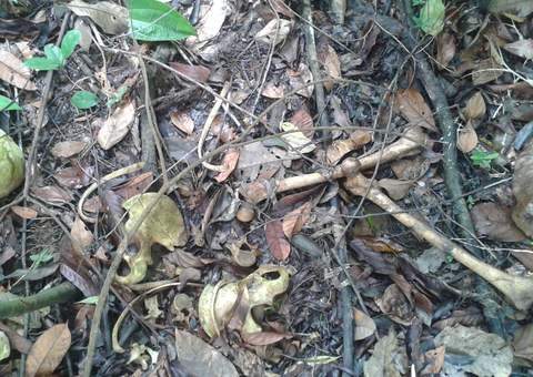 Ossada de adolescente é encontrada ao lado de sutiã na Marina Tauá