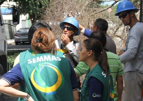  Prefeitura faz manutenção preventiva e avalia estado de árvores no centro de Manaus