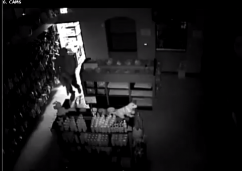 Empresária é flagrada incendiando cachorros em pet shop