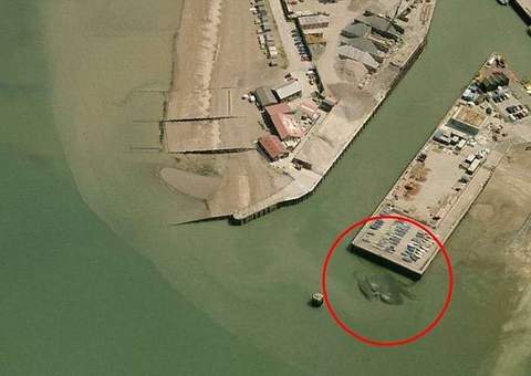 Foto do suposto maior caranguejo de 15m na Inglaterra