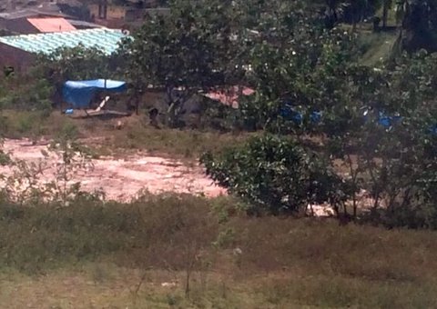 Moradores denunciam invasão em andamento na Colônia Terra Nova