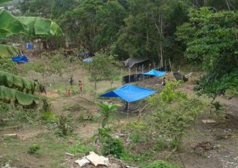 Invasores se dizem indígenas e ameaçam moradores no Francisca Mendes