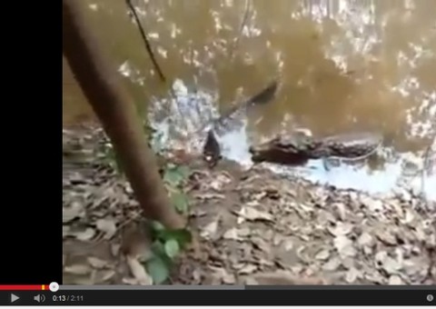 Jantar indigesto, confira no vídeo