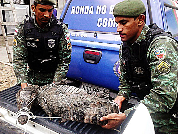 Jacaré com mais de dois metros ataca criança no Parque das Nações