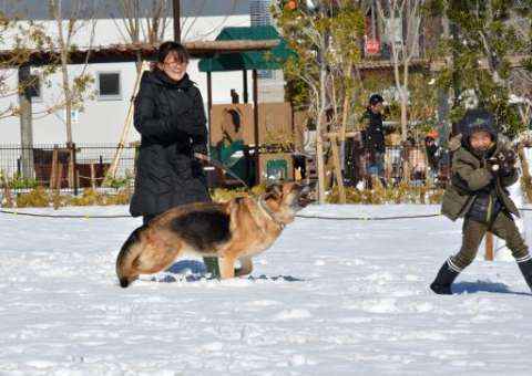 Nevasca deixa 12 mortos e 1.650 feridos no Japão