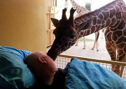 Tratador com câncer terminal pede para ver animais pela última vez