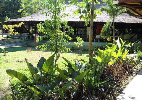 Licitação para exploração do Chapéu de Palha do Mindu é aberta