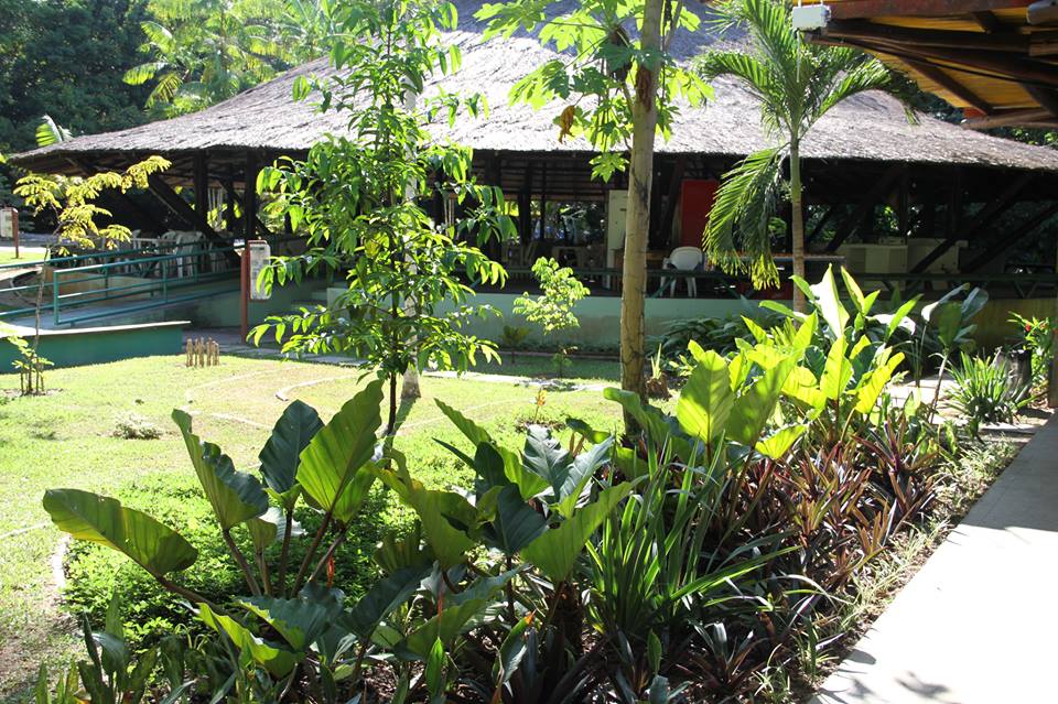 Licitação para exploração do Chapéu de Palha do Mindu é aberta