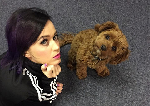 Katy Perry divulga número de telefone na internet por engano