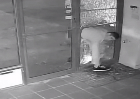 Ladrão burro assalta loja e vira piada na internet