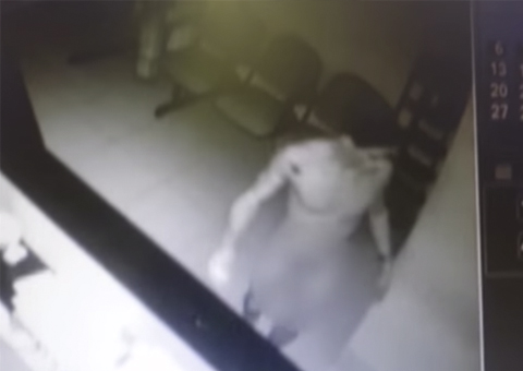 Homem rouba loja em Pernambuco totalmente nu