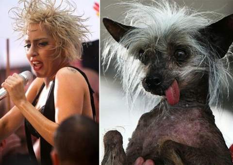 Divirta-se com imagens de famosos como você nunca viu