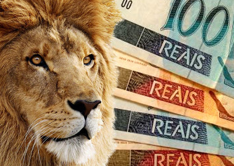 Consulta ao 2º lote do IR  chega para 14 mil no Amazonas