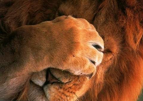 Receita abre consulta ao 5º lote de restituição do IR no Amazonas