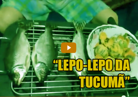 'Lepo Lepo da Tucumã' vira sucesso na internet