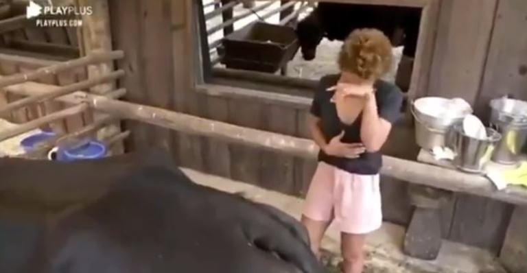 Vegana, Lidi Lisboa cai no choro ao tirar leite de vaca em A Fazenda