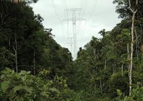 Justiça Federal suspende implantação de linha de transmissão entre Manaus e Boa Vista 