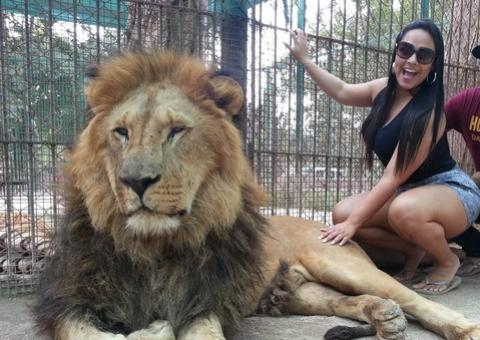 Mulher Melancia visita zoológico argentino e posa com leão