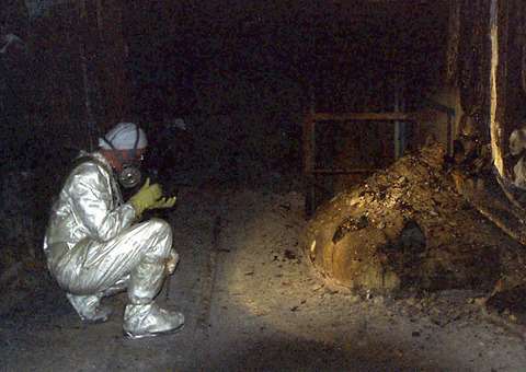 Criaturas bizarras nascem em Chernobyl devido à radioatividade