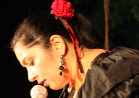 O som de Livia Mendes no Botequim