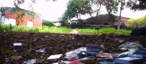 Livros didáticos são descartados em área verde