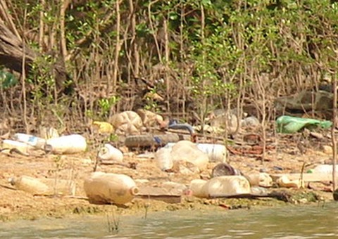 Mutirão ecológico para limpar  igarapé poluído em Manaus