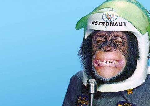 Irã diz ter enviado segundo macaco ao espaço com sucesso