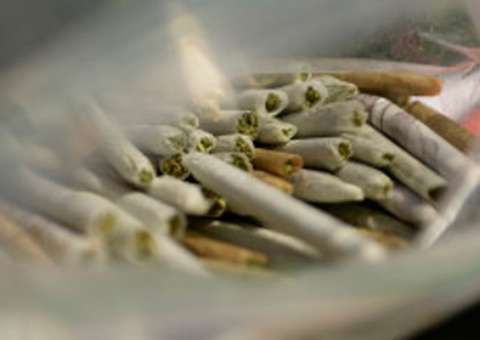 Saco de maconha é doado por acaso para a caridade 