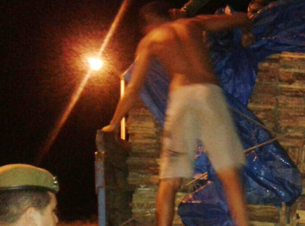 Documento vencido causa apreensão de madeira