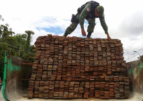 Polícia ambiental apreende 7,448 m3 de madeira extraída ilegalmente