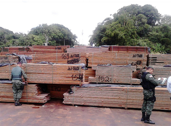 Madeira irregular é apreendida na Compensa