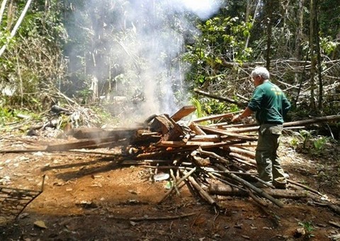 Homens são presos por exploração de madeira em terra indígena