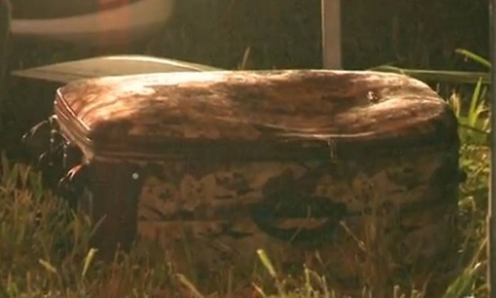 Corpo de aeromoça é encontrado em mala