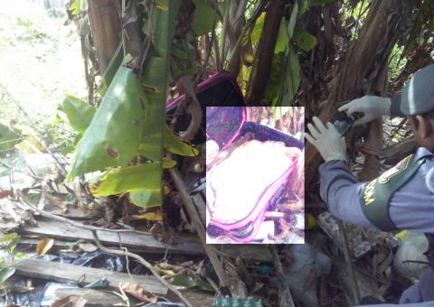 O CRIME DA MALA COR-DE-ROSA: Polícia já sabe que sobrinhos mataram e esquartejaram a tia