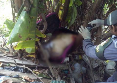 Mulher esquartejada tem pedaços do corpo colocado em mala cor-de-rosa