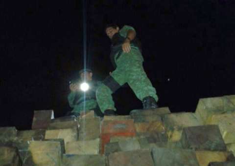 Polícia apreende madeira, pescado e animais silvestres